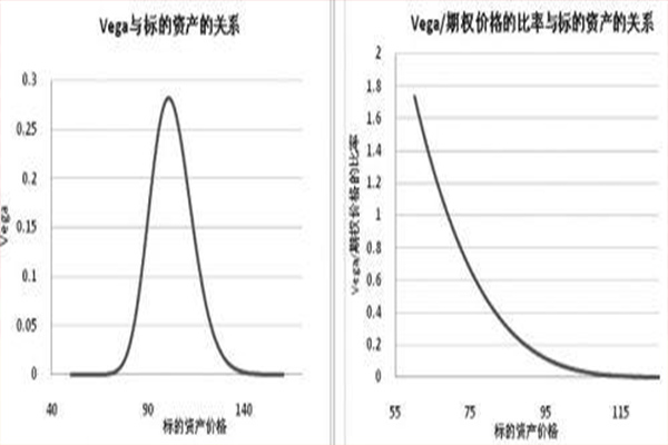 谷牛期权